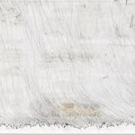 Wai Pong-yu 韦邦雨, A Moment of Truth 1 见道一瞬 1, 2011