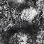 Bingyi 冰逸, Wanwu: Metamorphosis 万物, 2013