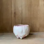 Tomoyuki Hoshino, Sugar Glazed Tea Bowl 茶盌 糖衣, 2024