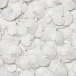 KAKU, Pure Monochrome, 2025