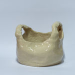 Mara Faúndez, Posibilidades en una Pecera, 2024