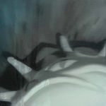 Joaquín Reyes, Genocidio, 2025