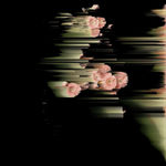 Andrea Wolf, LS132894 (Balsalm Root), 2025