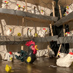 Fernanda Núñez, Memoria Fabricada - Niño Hiperconectado, 2012