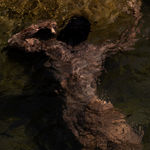 Walther Sánchez, Bambalinas, 2024