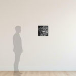 Carolina Muñoz, Succión, 2025