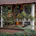 William Christenberry, "Jesus Saves" Sign, between Greensboro and Marion, Alabama, 1983