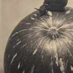 Manuel Álvarez Bravo, Platinum portfolio (portfolio of 10), 1927-1974