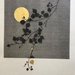 Patricia Swannell, Tree Ring Series