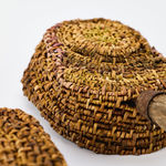 Alison Gautrey, Collaboration Series