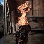 Alison Gautrey, Collaboration Series