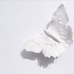 Alison Gautrey, Collaboration Series