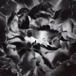 Sinje Dillenkofer, Ziege 2