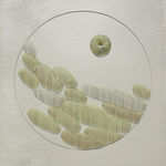 Kazuhito Takadoi, Yukima (Melting Snow)