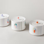 Christopher Riggio, Spatial Concept Series