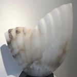 Jude Tucker, Wavespell