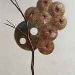 Kazuhito Takadoi, Yukima (Melting Snow)