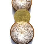 Kazuhito Takadoi, Yukima (Melting Snow)