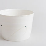 Christopher Riggio, Spatial Concept Series