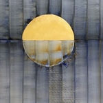 Patricia Swannell, Tree Ring Series