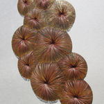 Kazuhito Takadoi, Yukima (Melting Snow)