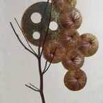 Kazuhito Takadoi, Yukima (Melting Snow)