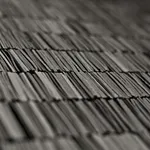 Lucas Ferreira, Wilderness