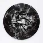 Sinje Dillenkofer, Ziege 2