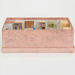 SIMON EVANS AND SARAH LANNAN, Insecurity Card, 2022