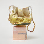 Jcg13265 Image 3 Edited