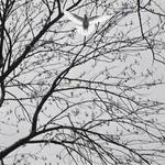 Jo Spence, Phototherapy: Jo Standing, c.1985