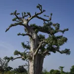 Lola Flash, Self Portrait, Washington, DC