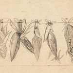 Graham Sutherland, Pecken Wood, 1925