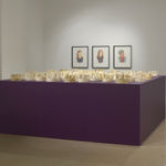 Ayesha Green Jhana Millers Gallery