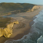 Jim Denevan, San Gregorio State Beach for the Financial Times, 2022