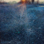 Andrew Gifford, 32. Snowy Woods near Clark Cove, Maine II, 2023