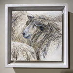 Katie Wilkins, The Cotswold ewe