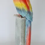 Marion Stewart, Macaw
