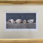 Nigel Ashcroft, Shells