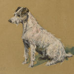 George Paice, Alert - terrier study