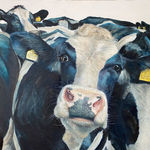 Katie Wilkins, Overly curious