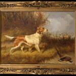 Colin Graeme Roe, Red & White Setter