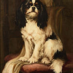 Hugh George Shaw, Study of a Cavalier King Charles Spaniel