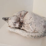 Christine Baxter, Curled cat