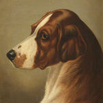 John Alfred Wheeler, Head of a Foxhound