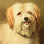 James William Cole, An appealing glance