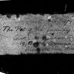 English School, 20th Century, The pet of the family