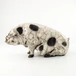 Chris Cummings, Sitting Old Spot Pig