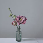 Jo Barrett, Still Life with Glass Bottle and Lisianthus