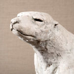 Rosie Sanders, Seeds of Time, 2023